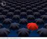 The Red Umbrella