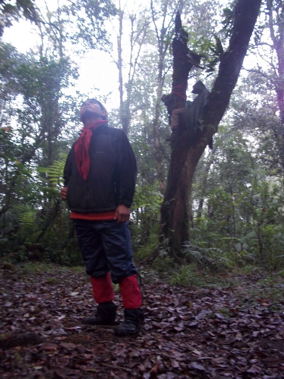 SAPUJAGAT: Teknik Tidur Kalong