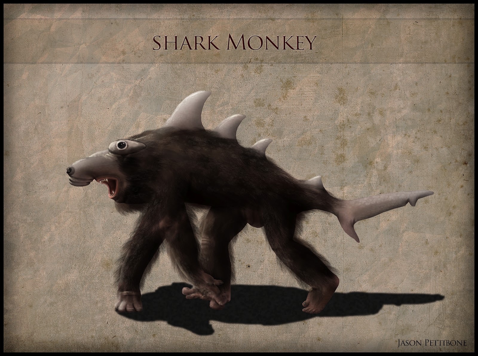 Hammerhead+Shark+Monkey.jpg