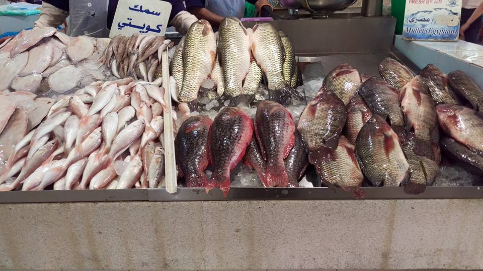 Curious in the Gulf Fish auctions at the fish market in Kuwait an