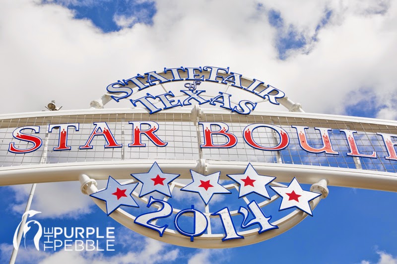 state fair of texas 2014