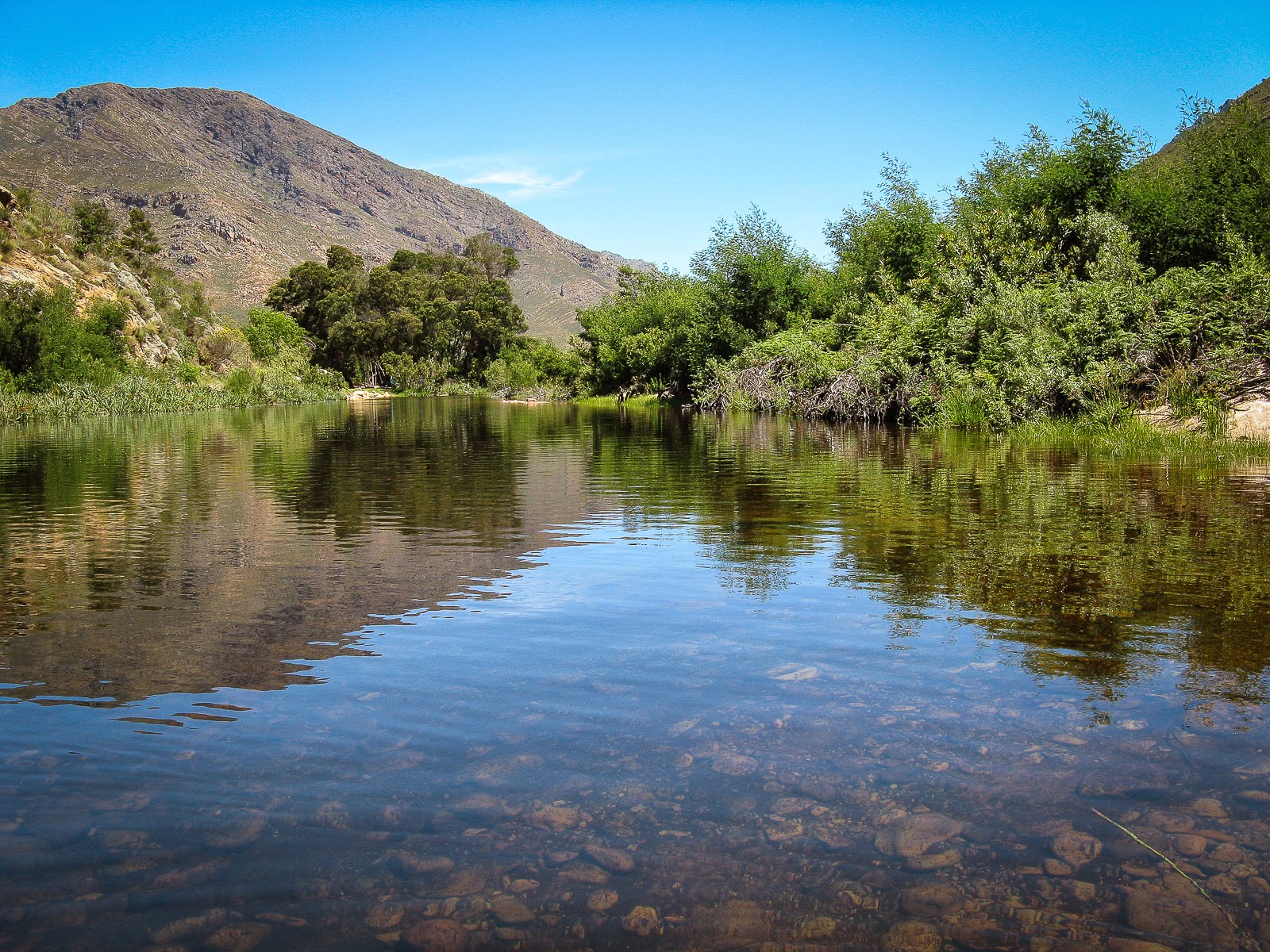 My Camping Passion Dwarsberg Trout Haven