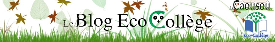 ECO CAOUSOU