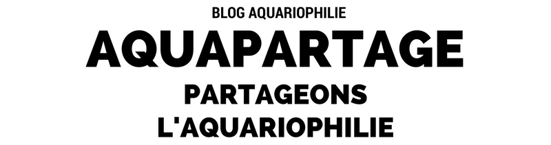 AquaPartage