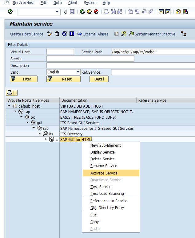 HOW TO SAP Activate ITS for web browser access