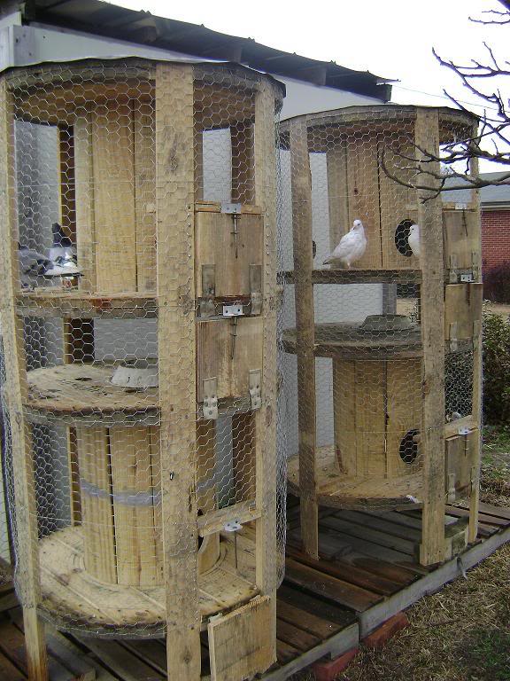 Life Homestead Survival Got empty wire spools? Heres an idea Life Homestead Survival Got empty wire spools? Heres an idea