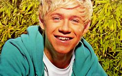 NIALL :D