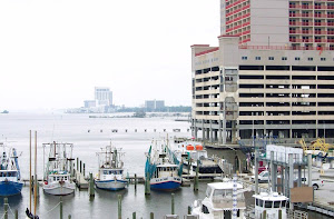 Hurricane Katrina Damage