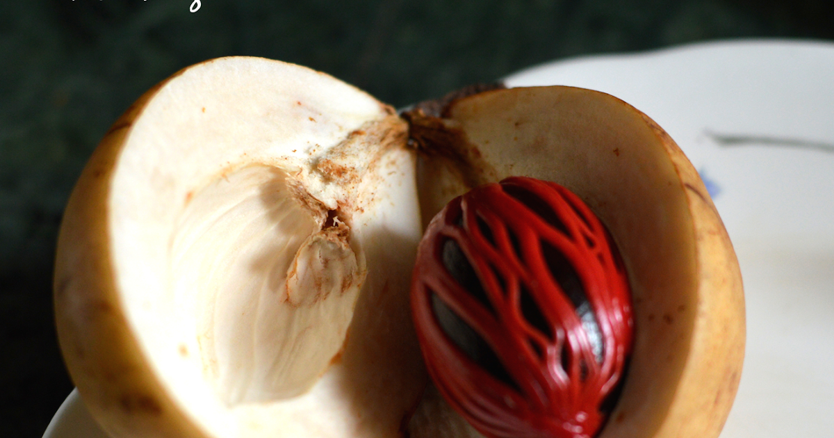 Lee’s Culinary Experiments Jaathikka Chammanthi / Nutmeg Fruit Chutney