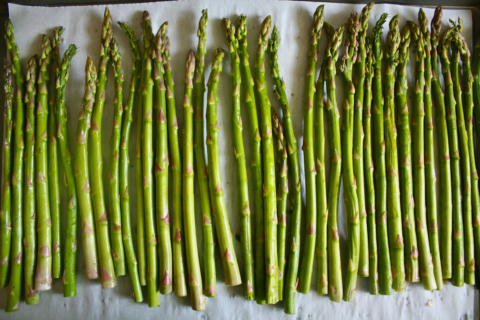 Sparrows & Spatulas Thin and Green Roasted Asparagus and Green Beans with Red Pepper Vinaigrette