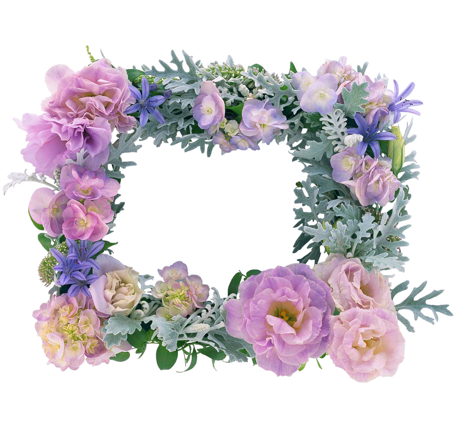 marcos para fotos de flores hermosas - Marco de hermosas flores con pétalos de rosas