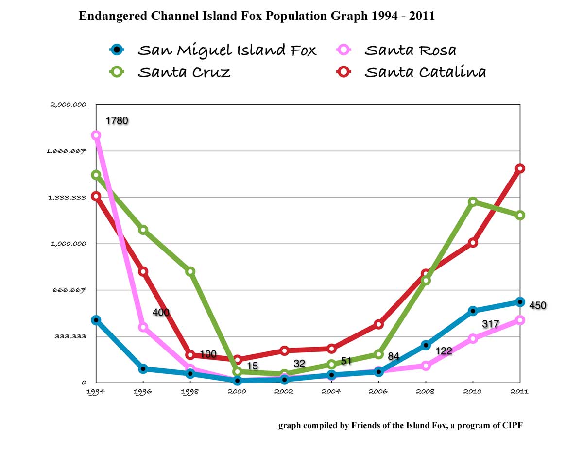 Friends of the Island Fox Island Fox Populations Recovering