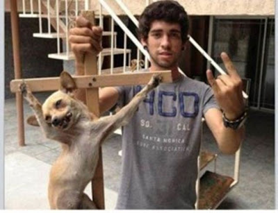 Oh My! Cerita: Kejamnya Manusia Bila Anjing Di Salib Sebegini Rupa