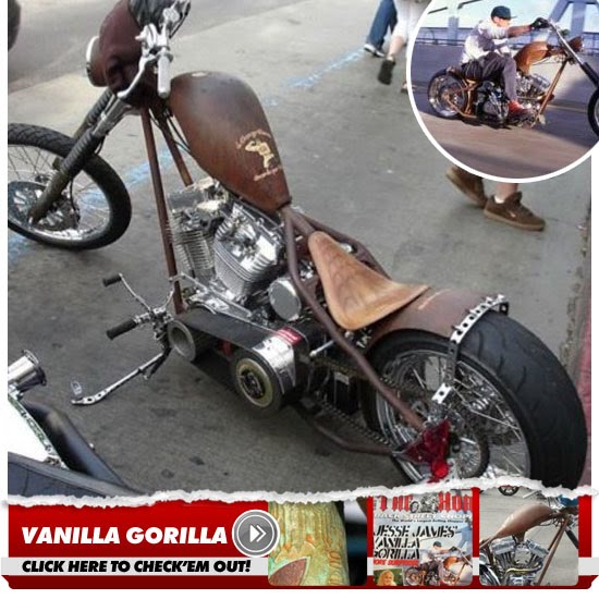 vanilla gorilla