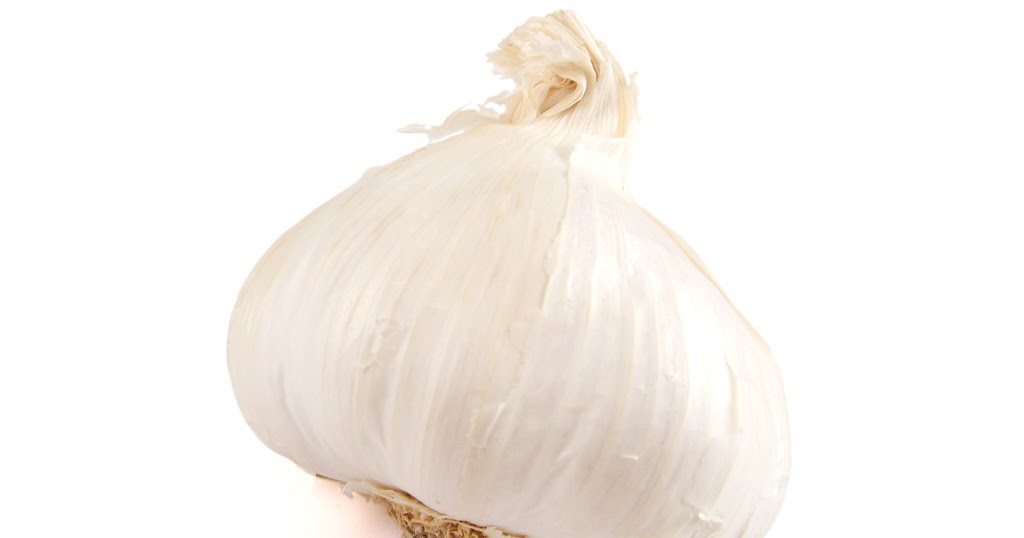 Garlic In Dog Food Safe Garlic In Dog Food Safe