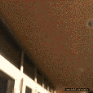 0.gif
