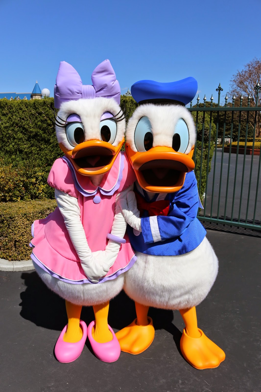 Pupepepets Blog: 2014