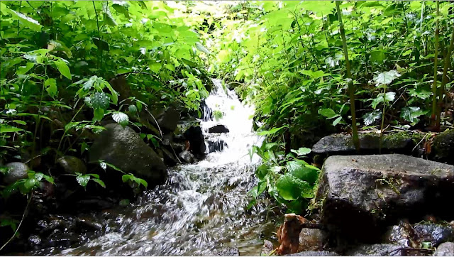 Cool Mountain Stream Relaxing Nature Meditation