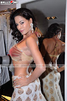 Veena Malik Sizzling hot Photoshoot