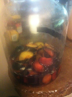 Spontaneous plum wine after 24 hours. Fermentation has started, slowly.