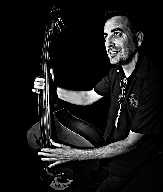 contrabajo, musica, bassman, portrait, retrato