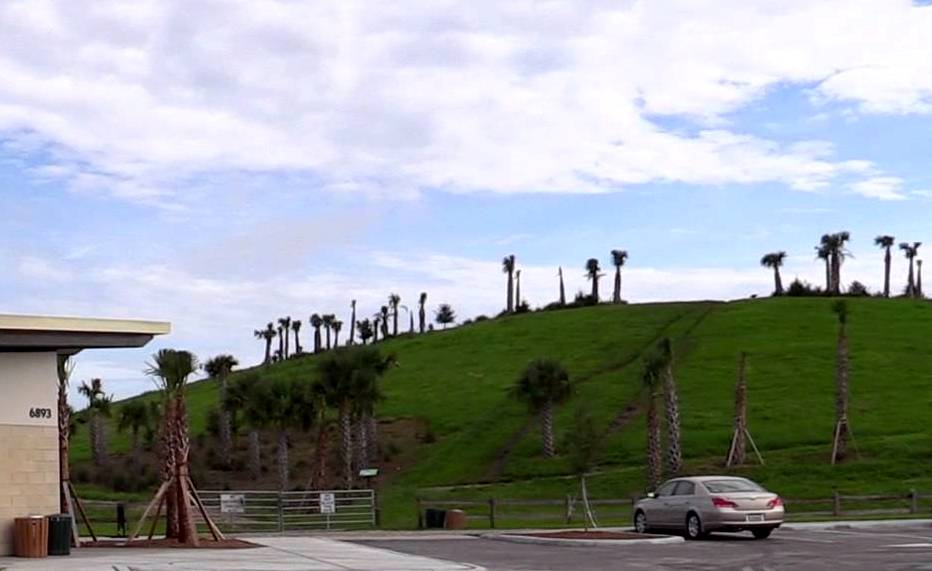 Walking in Sarasota FL The Celery Fields and Sarasota's Hiking "Mountain"