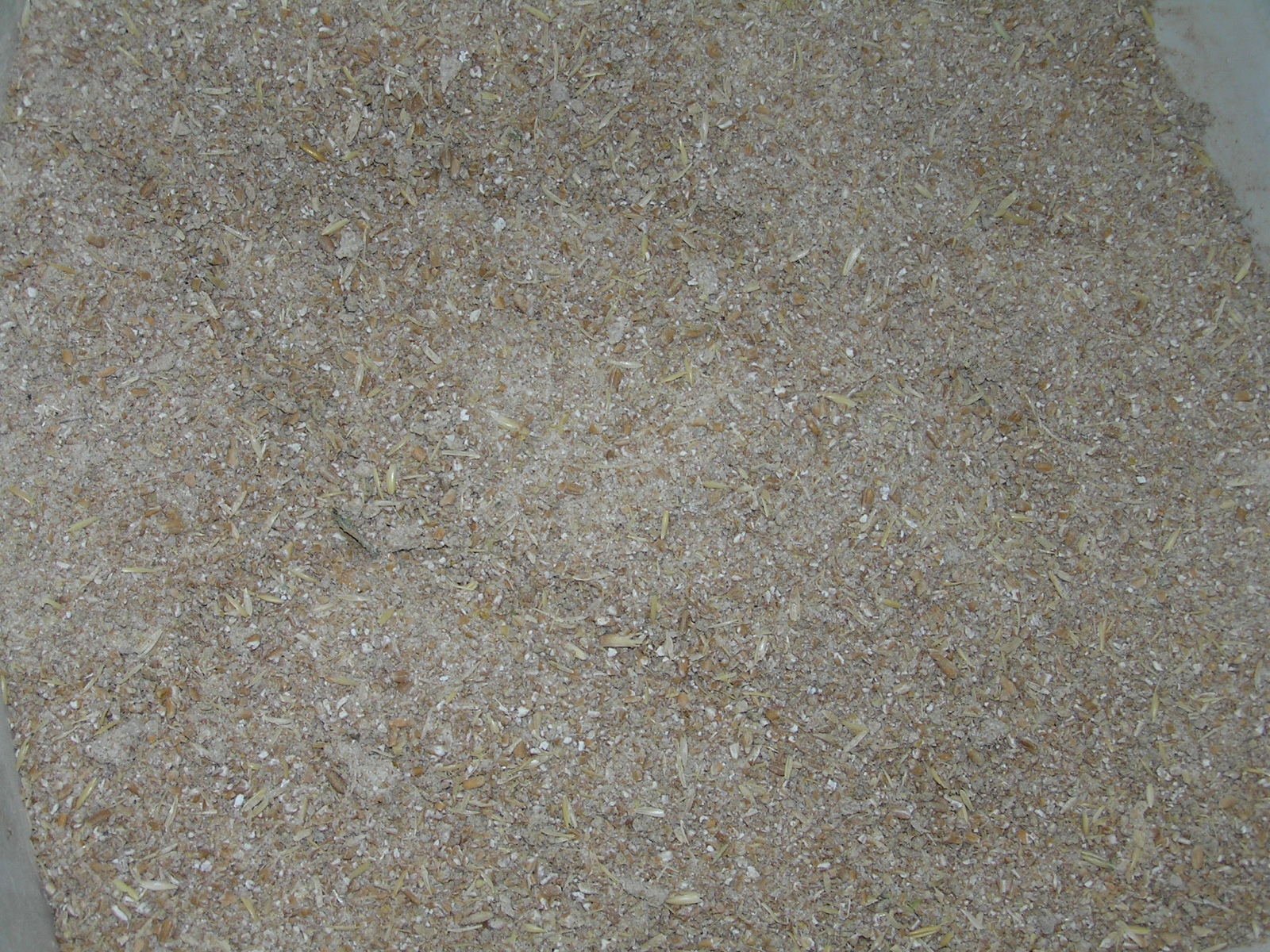 Homemade Kitty Litter A Life Unprocessed