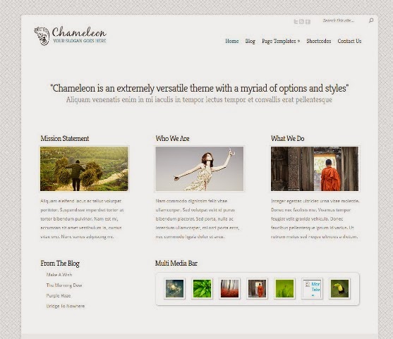 Chameleon WordPress Theme