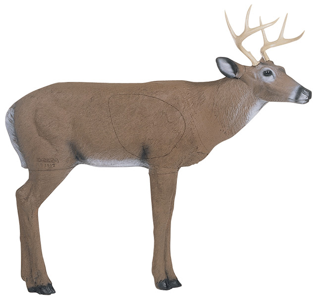 3d View Picture 3d Deer Target