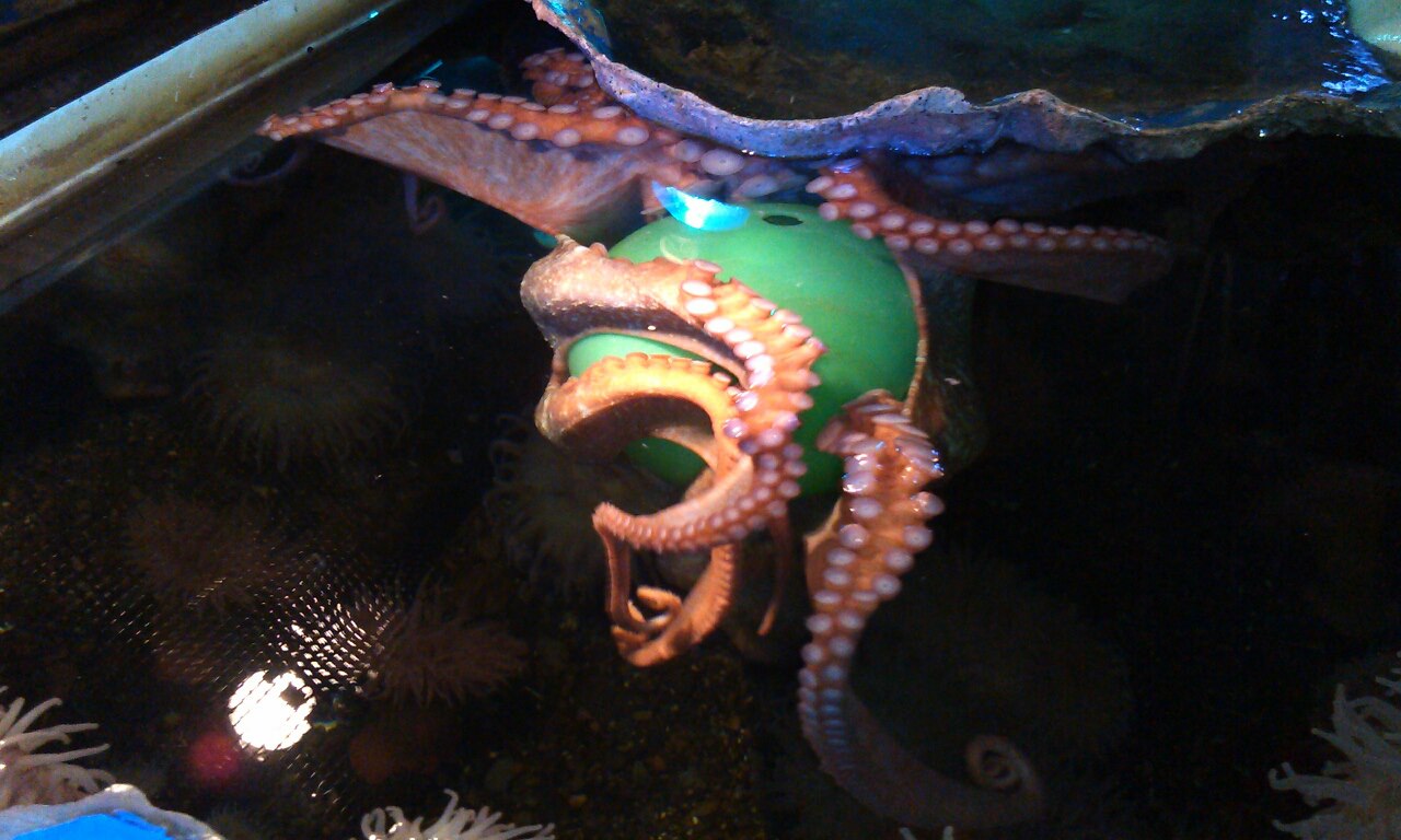 Exhibit Galleries Blog