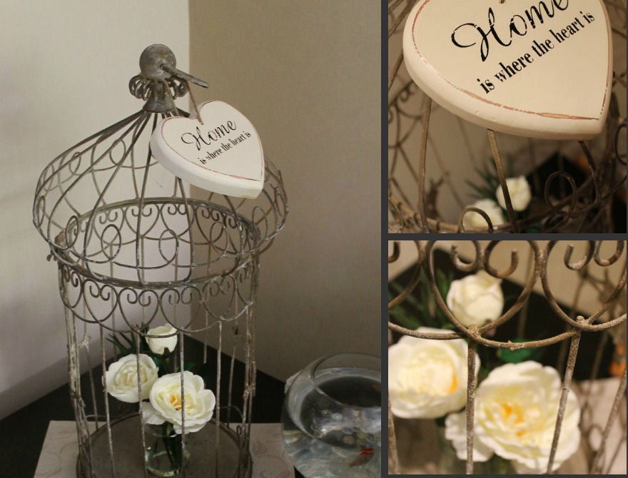 Where Can I Donate Bird Cages