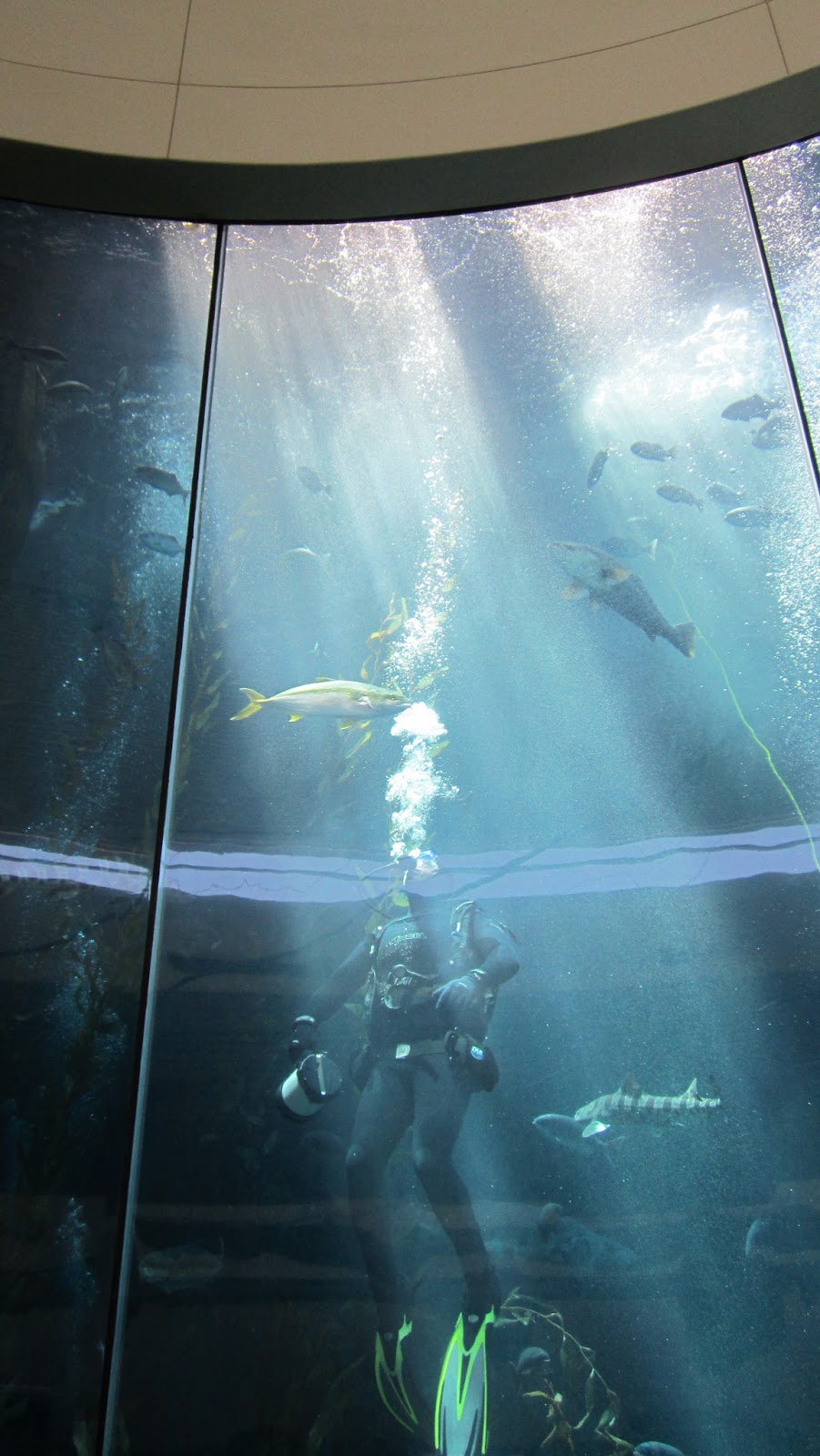 The Ricker Report Field Trip to the Aquarium of the Pacific