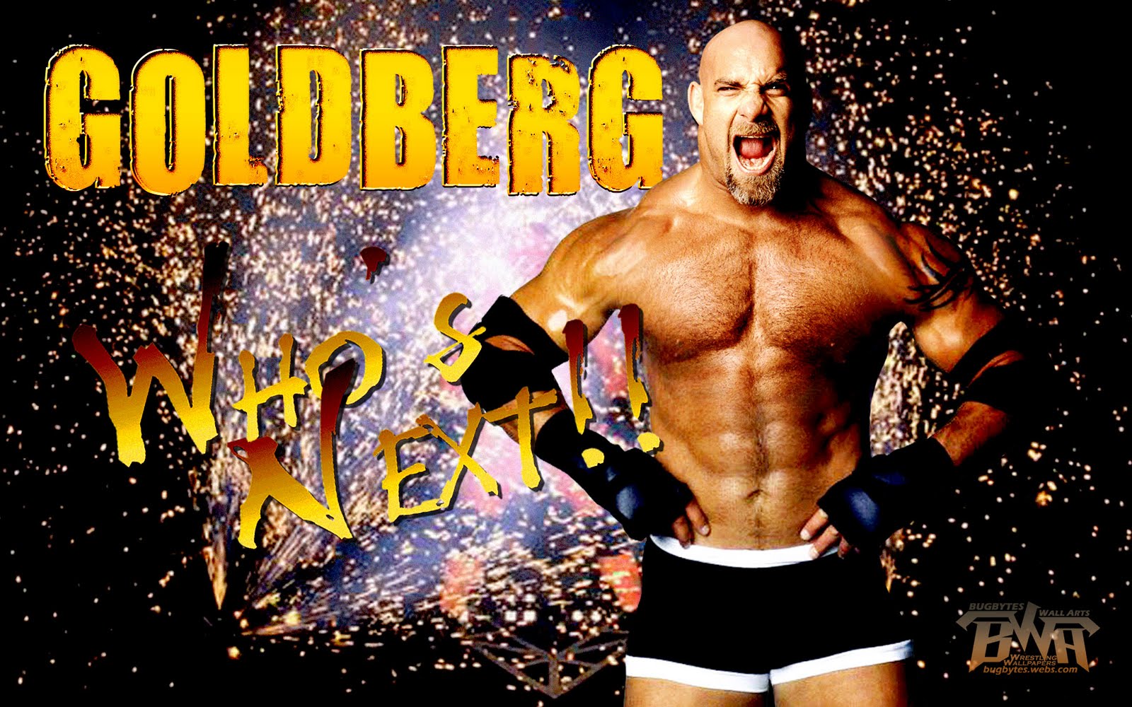 Louella Ellison: bill goldberg wallpaper