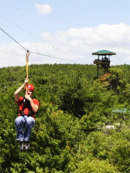 Gatorland's Screamin Gator Zip Line Course!