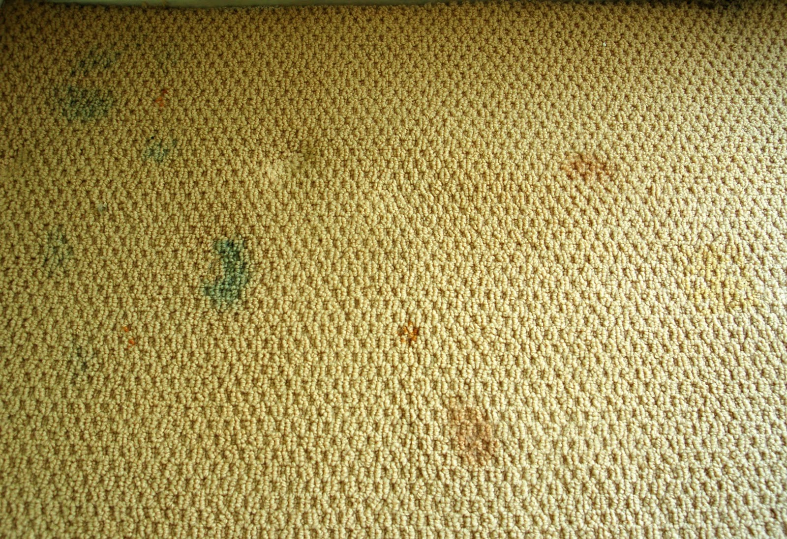 Show + Tell January 2013