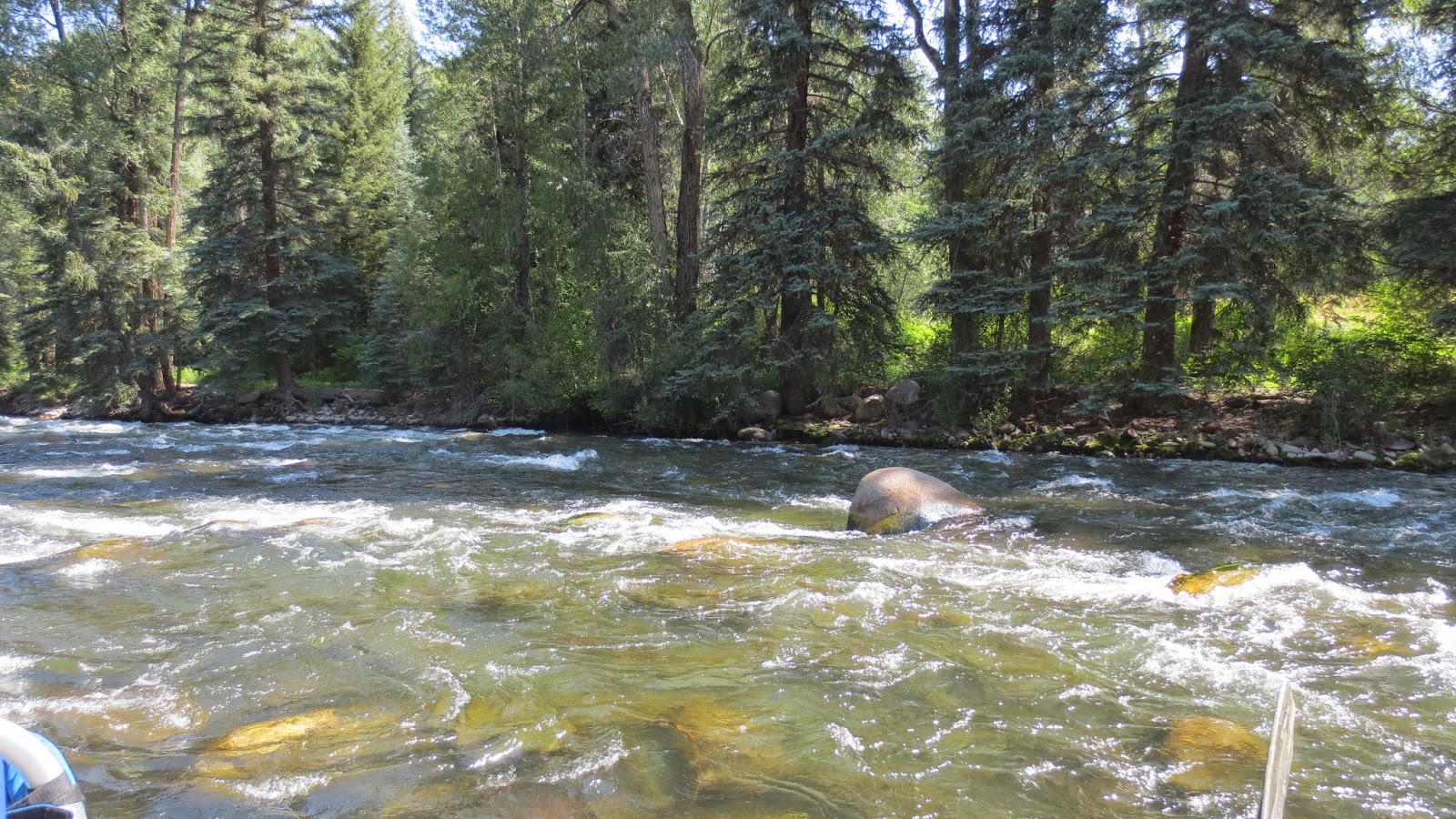 Fly+Fishing+on+the+Roaring+Fork+River+Summer+2014+with+Jay+Scott+Outdoors+12.JPG