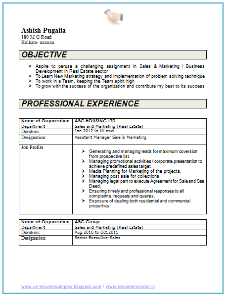 2 years experience resumes