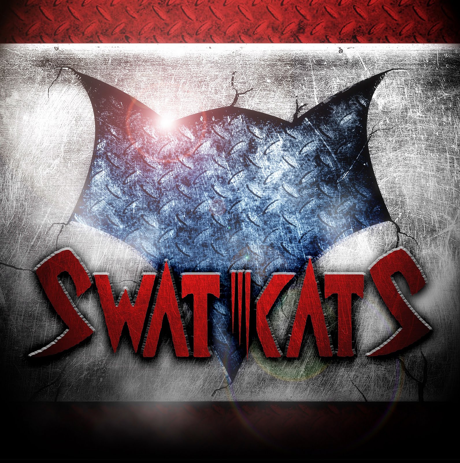 http://4.bp.blogspot.com/-Sey91ZerIlk/Tf9Fj2eV3YI/AAAAAAAAAJo/JW6xQL-KSTY/s1600/Swat-Kats.jpg