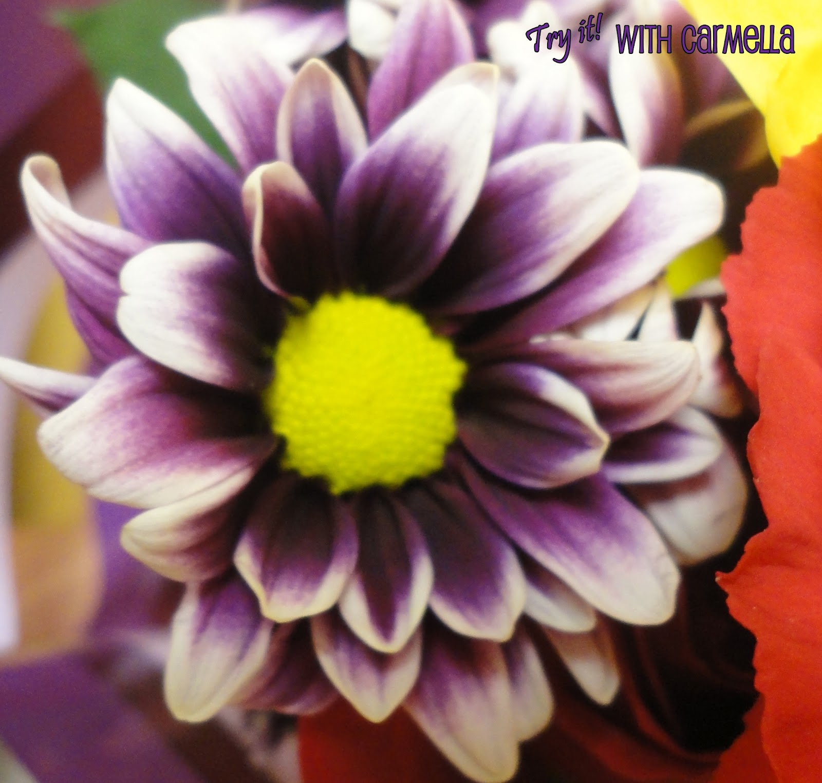 *Try It With Carmella* Beautiful Flower Bundle