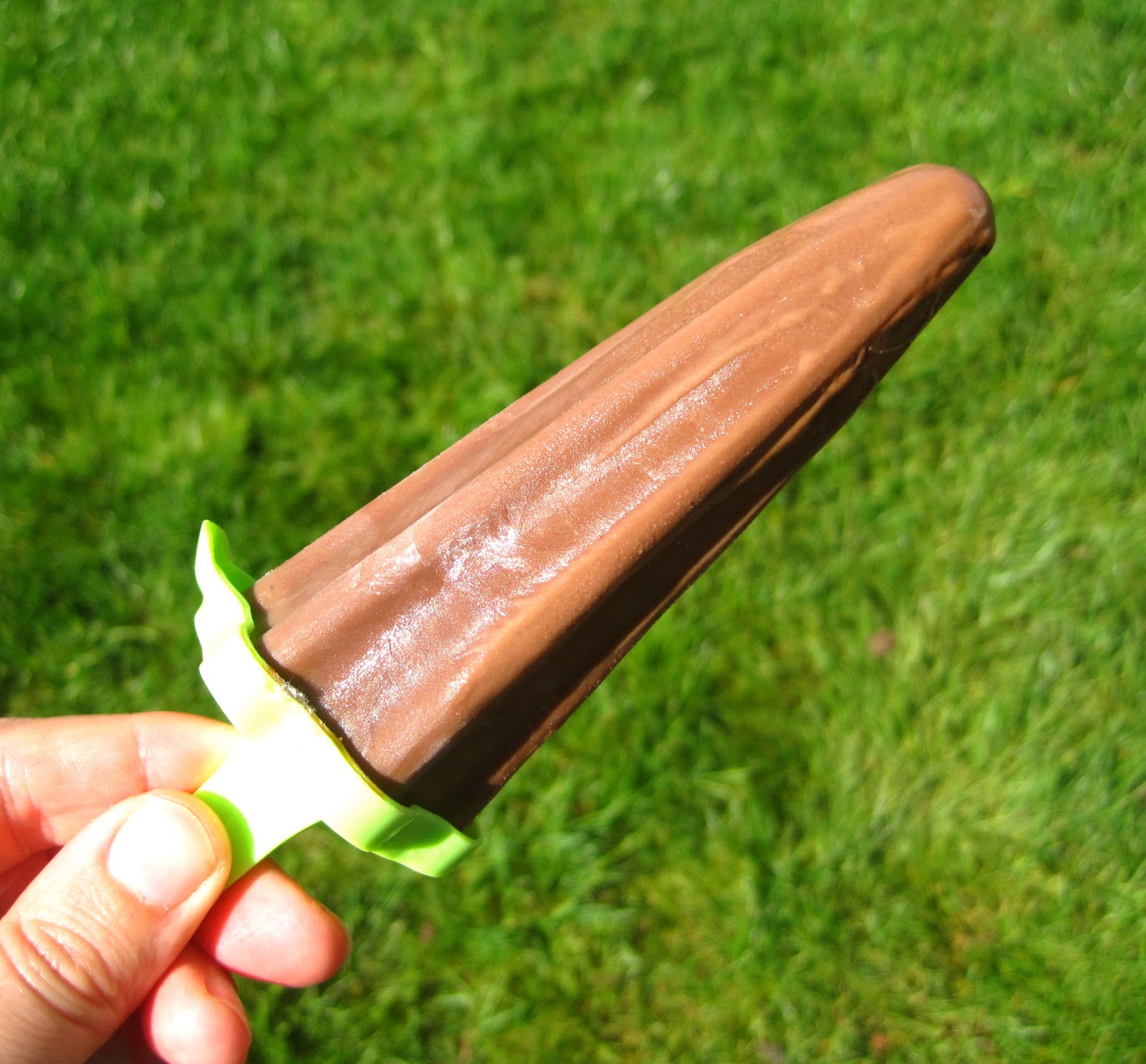 Alissamay's Homemade Fudge Pops