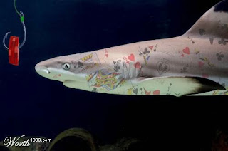 Card shark