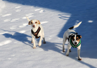 Thelma and Louise in the snow Thelma and Louise in the snow