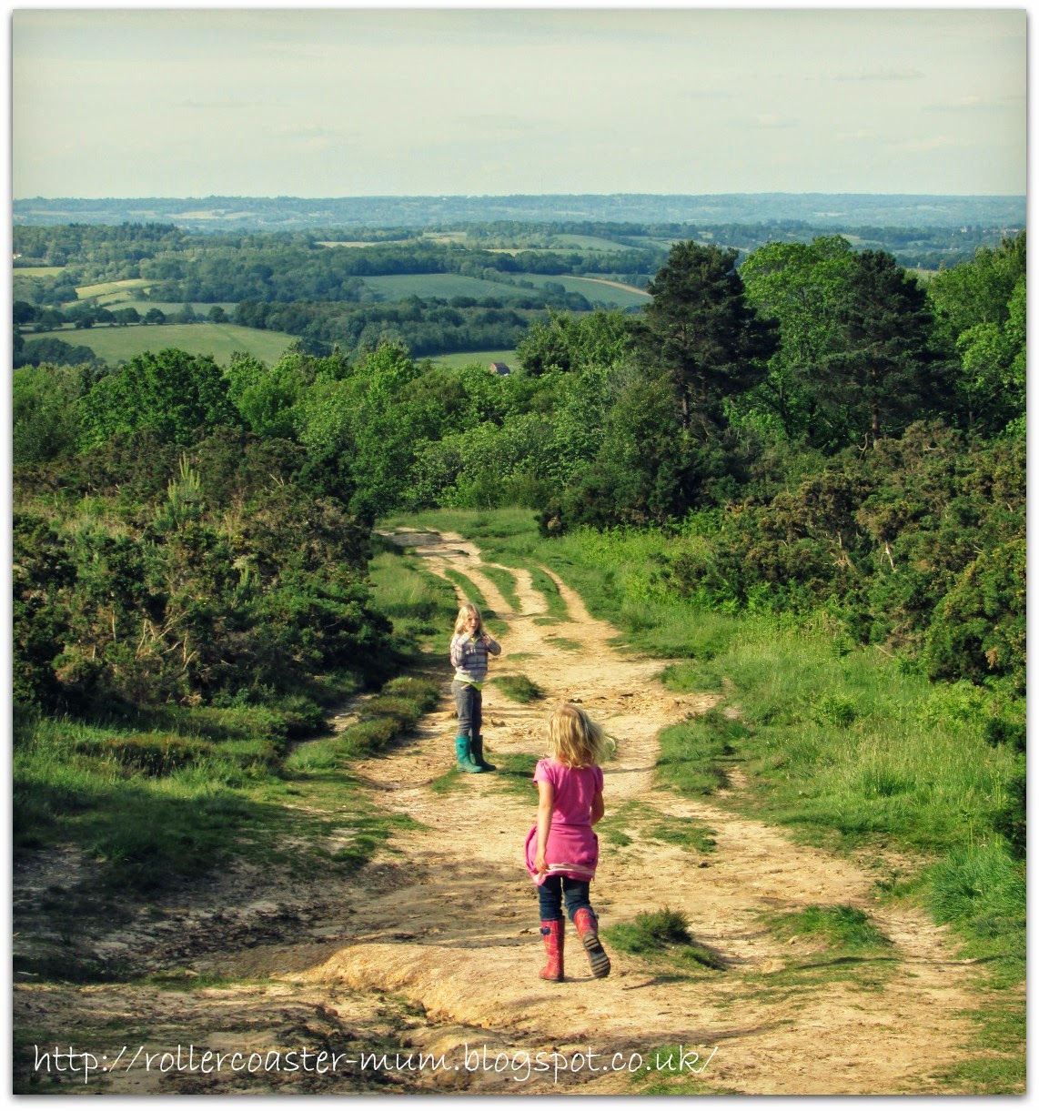 Exploring Winnie the Pooh country Typical Winnie the Pooh country, Ashdown Forest