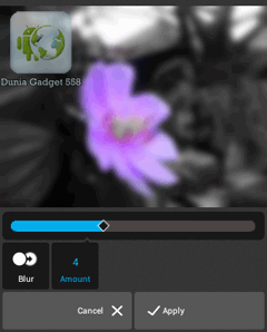 Membuat foto menjadi blur pada Android dan iPhone Membuat foto menjadi blur pada Android dan iPhone