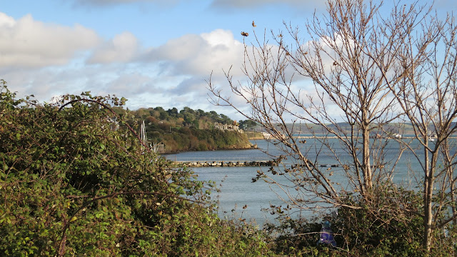 View of Sandsfoot Castle, Dorset, November 1st 2012