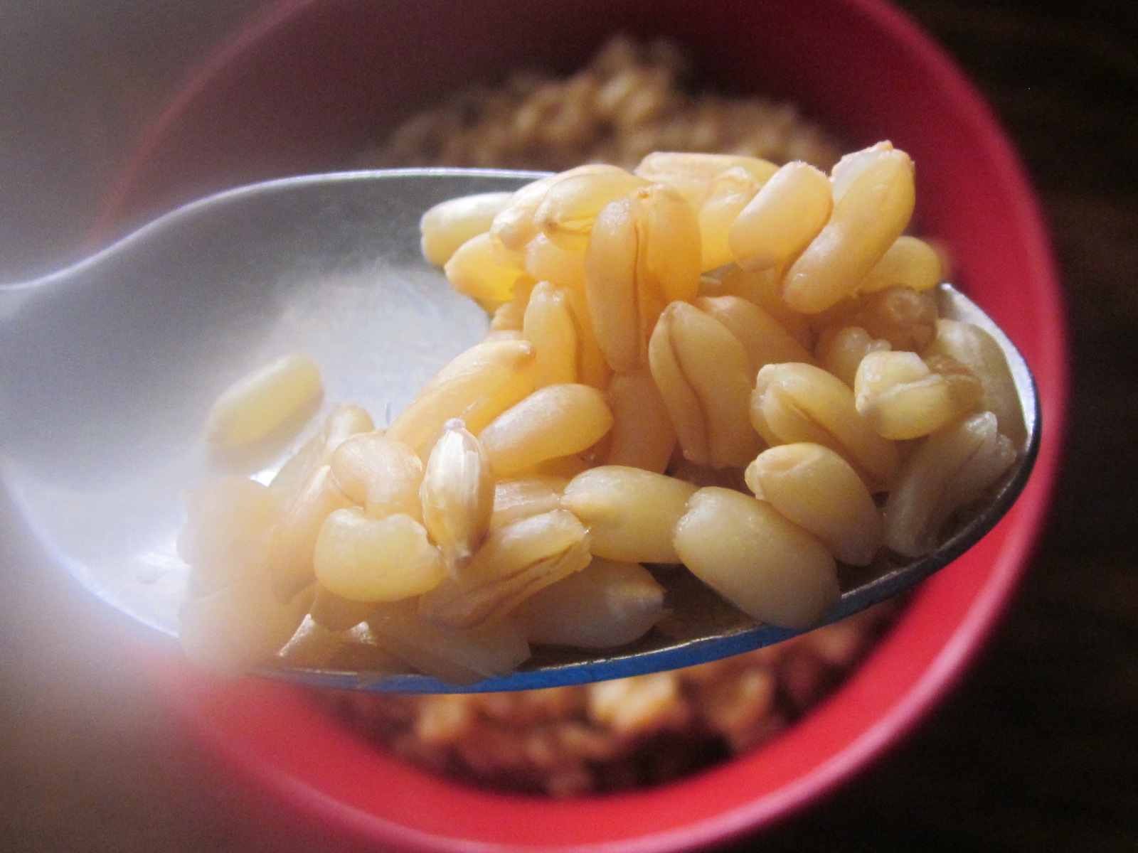 Chef Tess Bakeresse Chicken KAMUT®dle Soup with Herbs de Provence
