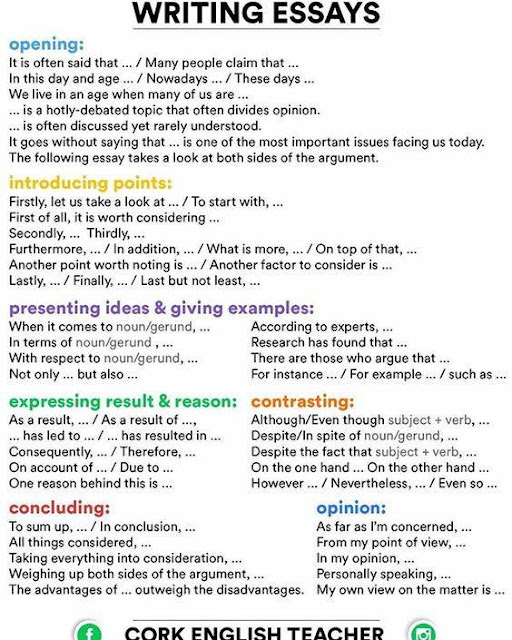 English Class Essay Political Science Essays also Reflective Essay On English Class Buy Essay Point Of View College Essay Paper