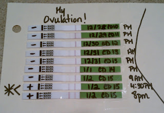 Clomid Ovulation Day 15