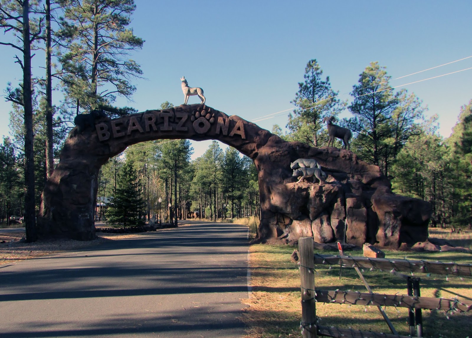 Experiencing Bearizona