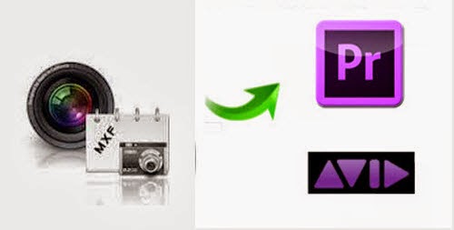 mxf-files-to-premiere-pro mxf-files-to-premiere-pro